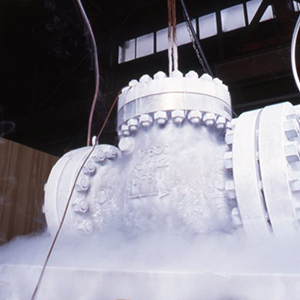 Cryogenic test after