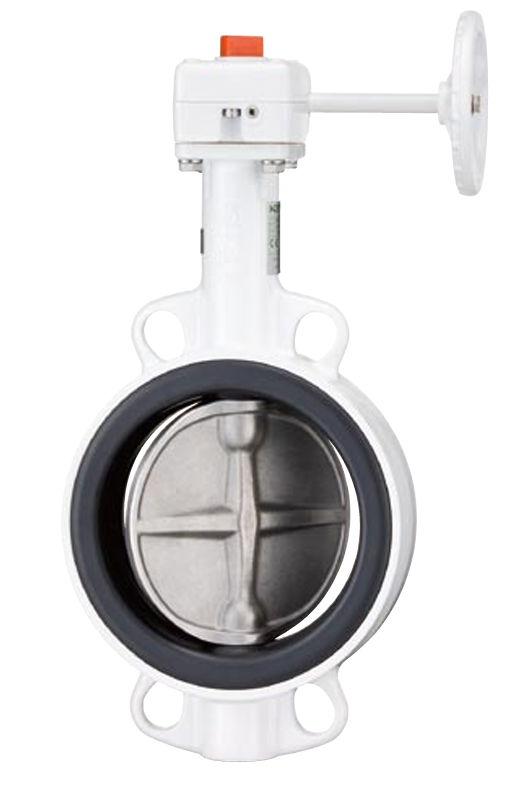 G-PN10EJM  기어타입 사이즈 : 10"(250A)-12"(300)